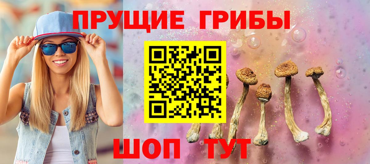 Псилоцибиновые грибы Psilocybe  цена   Псилоцибиновые грибы GOLDEN TEACHER  Еманжелинск  Вход с VPN 